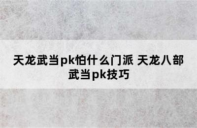 天龙武当pk怕什么门派 天龙八部武当pk技巧